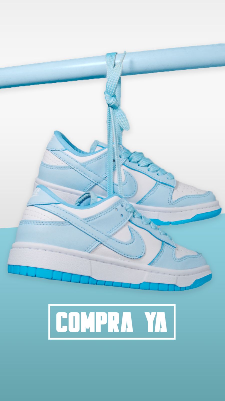 Nike Dunk importado women